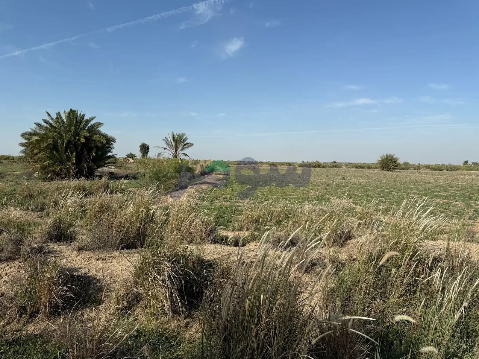 Property view 3
